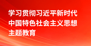 學(xué)習(xí)貫徹習(xí)近平新時(shí)代中國(guó)特色社會(huì)主義思想主題教育