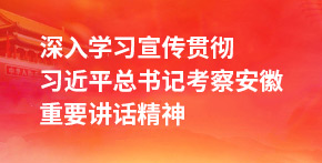 深入學(xué)習(xí)宣傳貫徹習(xí)近平總書記考察安徽重要講話精神